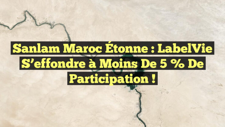 Sanlam Maroc Étonne : LabelVie s’effondre à Moins de 5 % de Participation !
