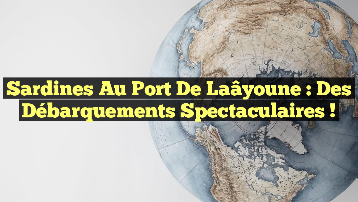 Sardines au Port de Laâyoune : Des Débarquements Spectaculaires !