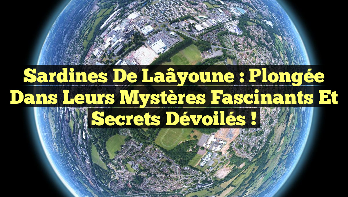 Sardines de Laâyoune : Plongée dans leurs Mystères Fascinants et Secrets Dévoilés !