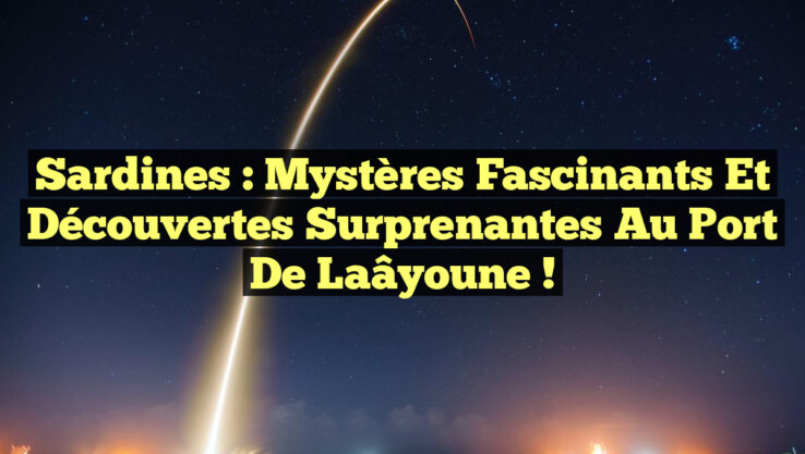 Sardines : Mystères Fascinants et Découvertes Surprenantes au Port de Laâyoune !