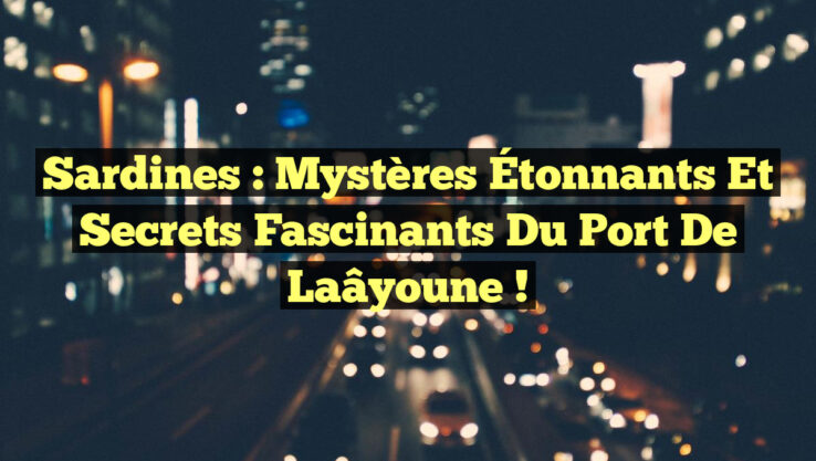 Sardines : Mystères Étonnants et Secrets Fascinants du Port de Laâyoune !