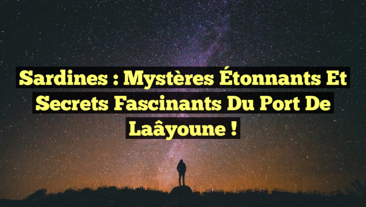Sardines : Mystères Étonnants et Secrets Fascinants du Port de Laâyoune !