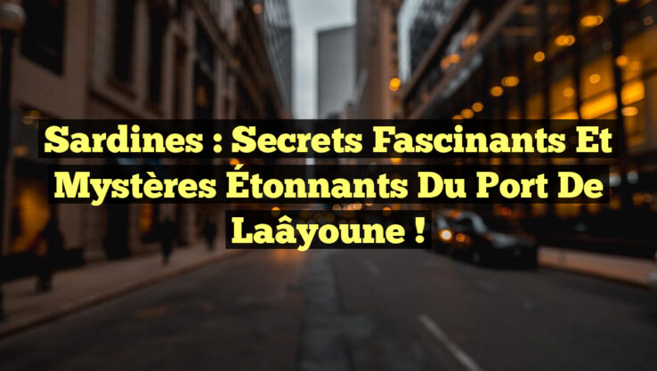 Sardines : Secrets Fascinants et Mystères Étonnants du Port de Laâyoune !