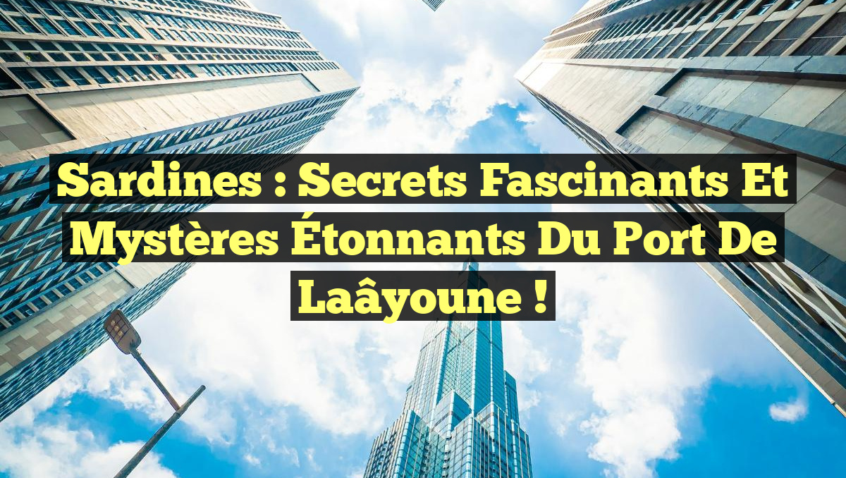 Sardines : Secrets Fascinants et Mystères Étonnants du Port de Laâyoune !