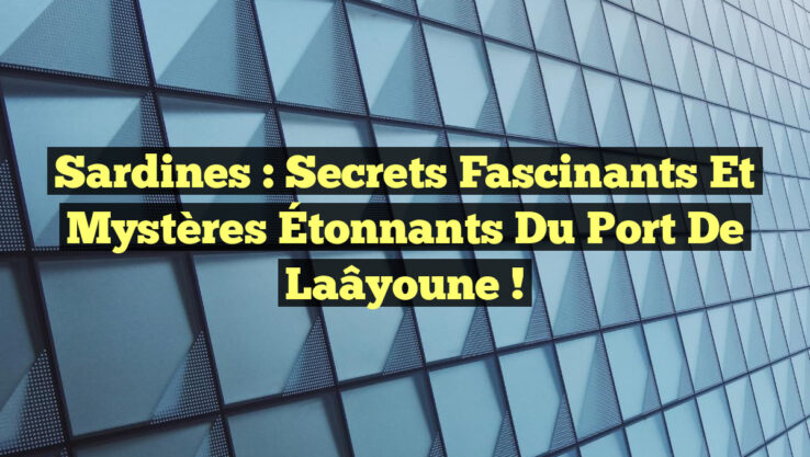 Sardines : Secrets Fascinants et Mystères Étonnants du Port de Laâyoune !
