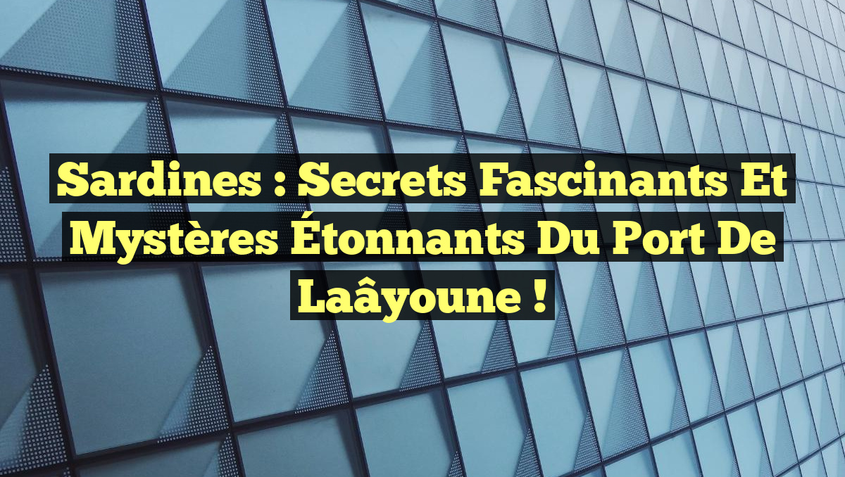 Sardines : Secrets Fascinants et Mystères Étonnants du Port de Laâyoune !