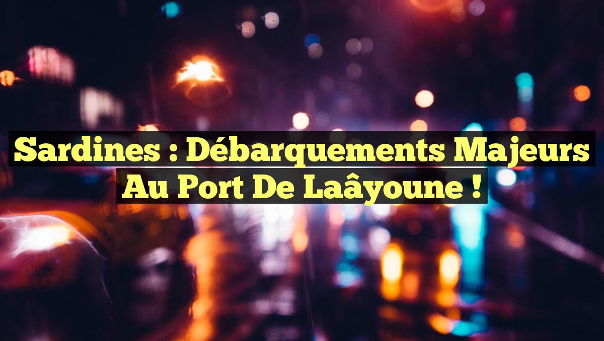 Sardines : Débarquements Majeurs au Port de Laâyoune !