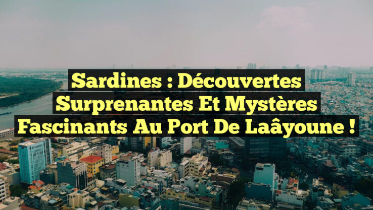 Sardines : Découvertes Surprenantes et Mystères Fascinants au Port de Laâyoune !