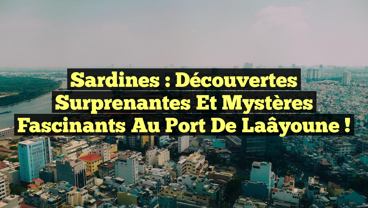 Sardines : Découvertes Surprenantes et Mystères Fascinants au Port de Laâyoune !