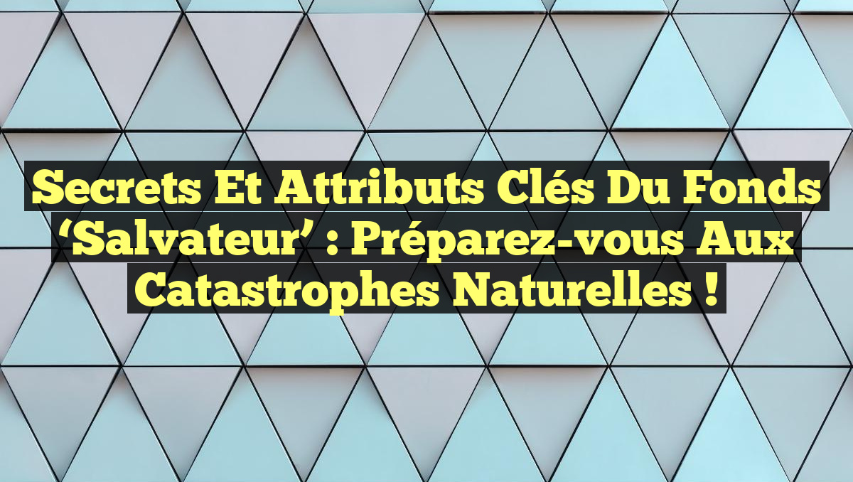 Secrets et Attributs Clés du Fonds &lsquo;Salvateur&rsquo; : Préparez-vous aux Catastrophes Naturelles !