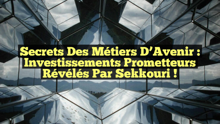Secrets des Métiers d’Avenir : Investissements Prometteurs Révélés par Sekkouri !