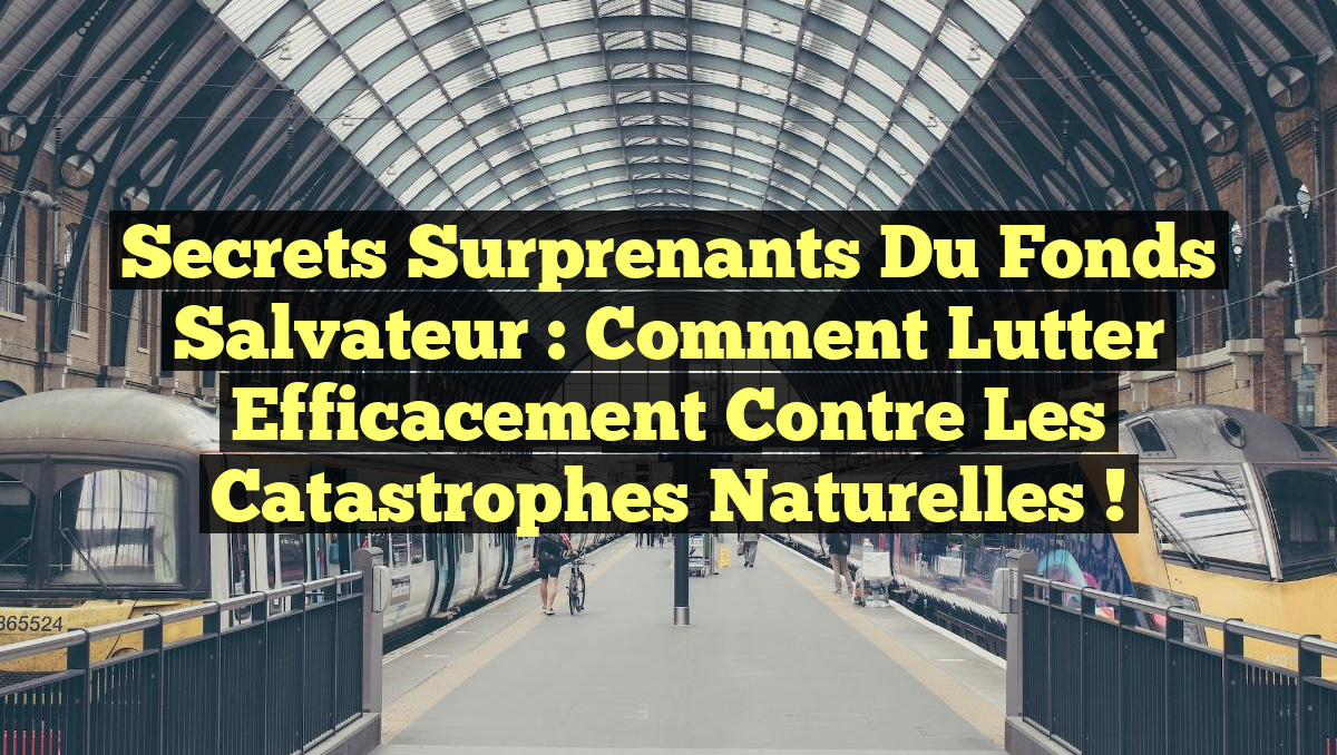 Secrets Surprenants du Fonds Salvateur : Comment Lutter Efficacement Contre les Catastrophes Naturelles !