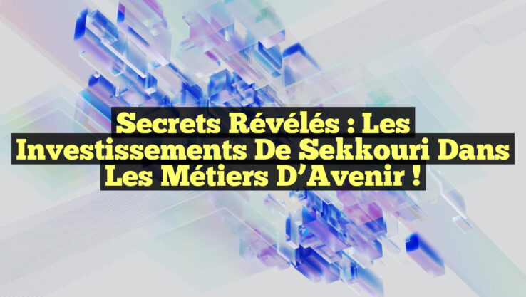 Secrets Révélés : Les Investissements de Sekkouri dans les Métiers d’Avenir !