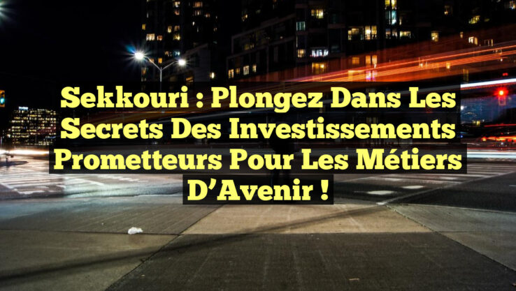Sekkouri : Plongez dans les Secrets des Investissements Prometteurs pour les Métiers d’Avenir !
