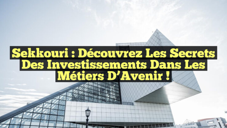 Sekkouri : Découvrez les Secrets des Investissements dans les Métiers d’Avenir !