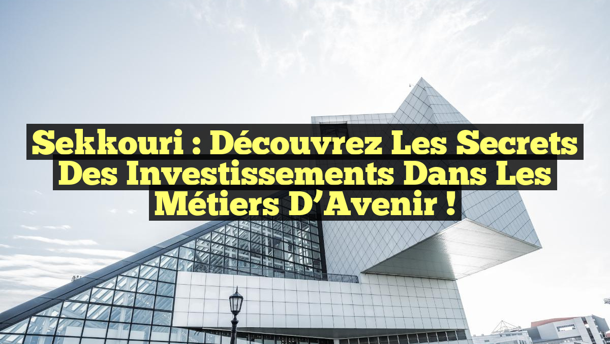 Sekkouri : Découvrez les Secrets des Investissements dans les Métiers d&rsquo;Avenir !