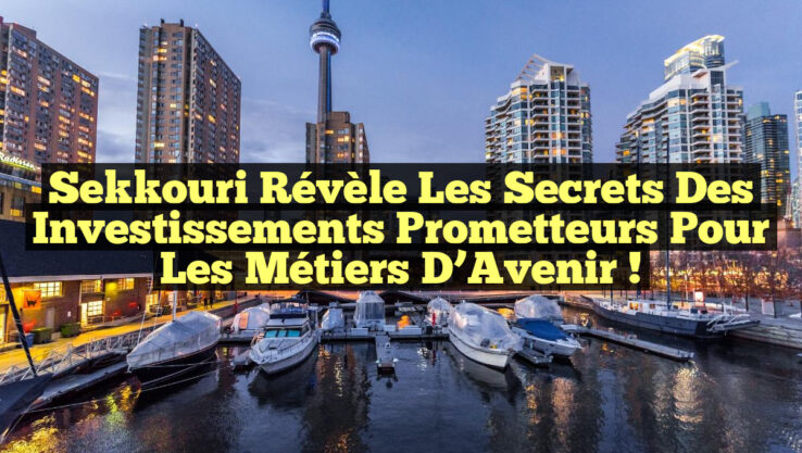 Sekkouri Révèle les Secrets des Investissements Prometteurs pour les Métiers d’Avenir !