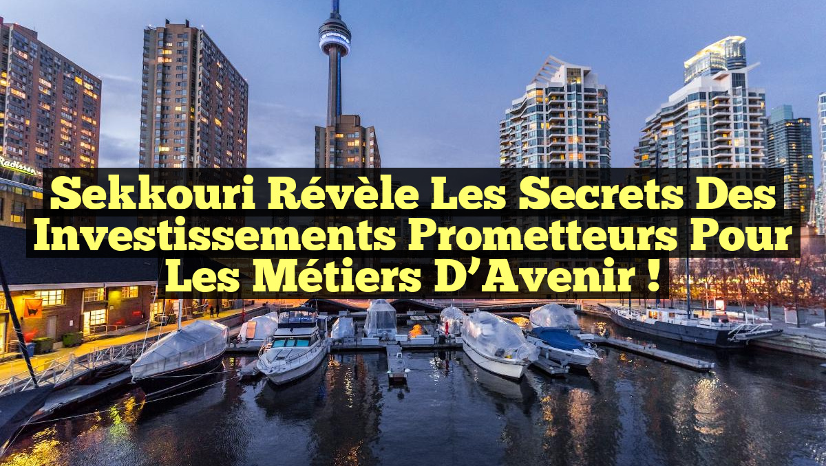 Sekkouri Révèle les Secrets des Investissements Prometteurs pour les Métiers d’Avenir !