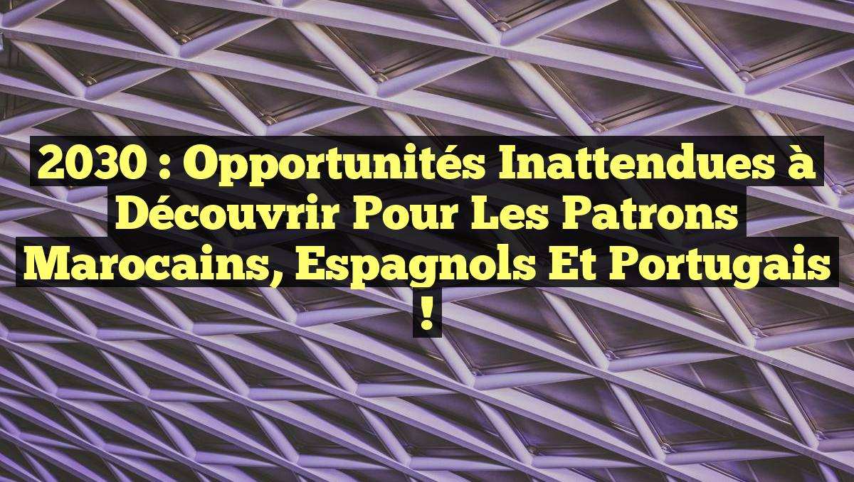 2030 : Opportunités Inattendues à Découvrir pour les Patrons Marocains, Espagnols et Portugais !