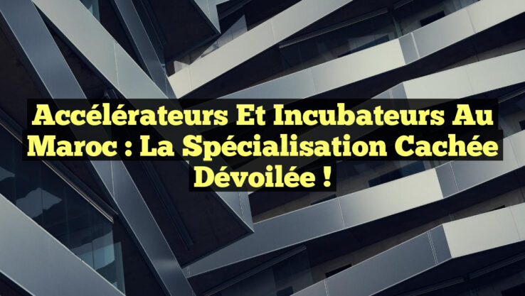 <p><strong>Accélérateurs et Incubateurs au Maroc : La Spécialisation Cachée Dévoilée !</strong></p> Accélérateurs et Incubateurs au Maroc : La Spécialisation Cachée Dévoilée !
