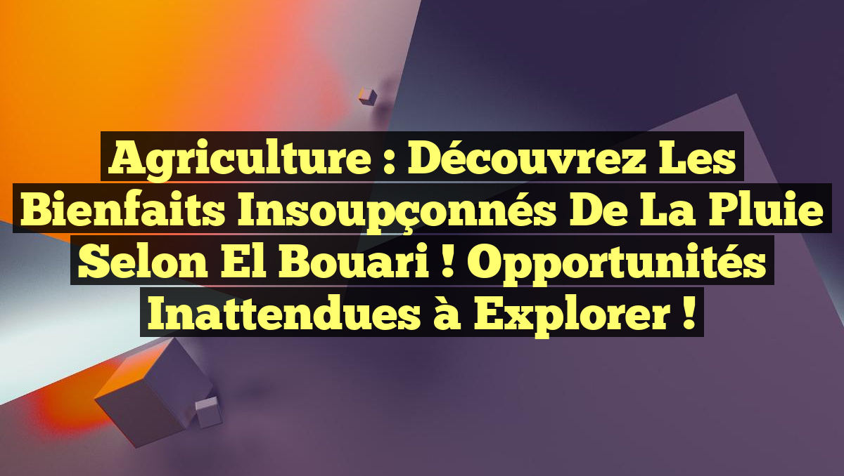 Agriculture : Découvrez les Bienfaits Insoupçonnés de la Pluie selon El Bouari ! Opportunités Inattendues à Explorer !
