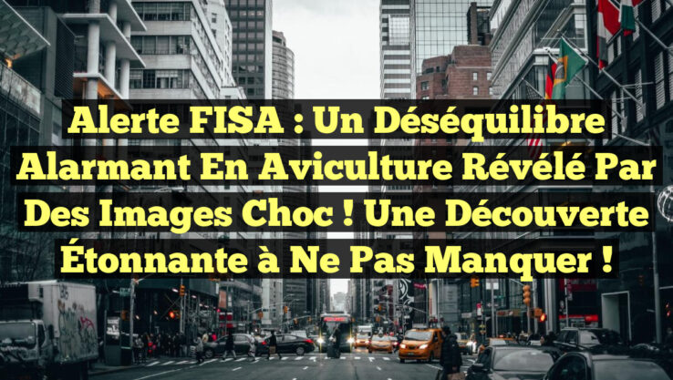 Alerte FISA : Un Déséquilibre Alarmant en Aviculture Révélé par des Images Choc ! Une Découverte Étonnante à Ne Pas Manquer !