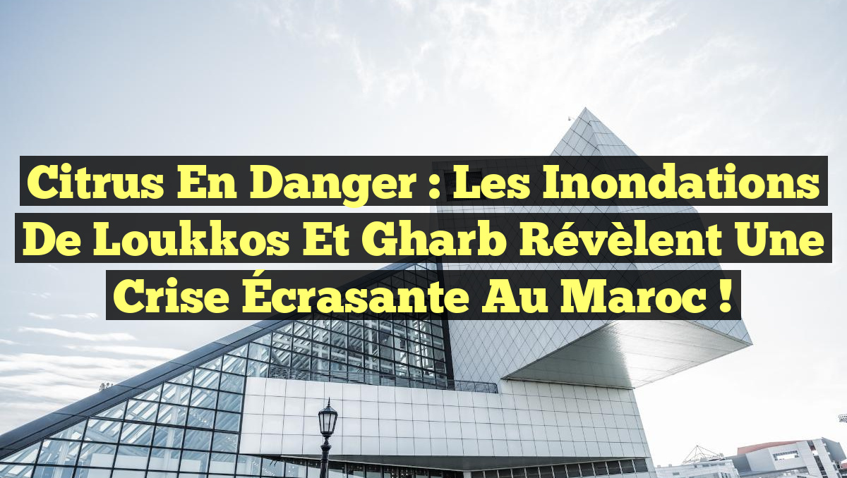 Citrus en Danger : Les Inondations de Loukkos et Gharb Révèlent une Crise Écrasante au Maroc !