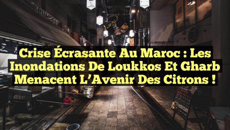 Crise Écrasante au Maroc : Les Inondations de Loukkos et Gharb Menacent l’Avenir des Citrons !