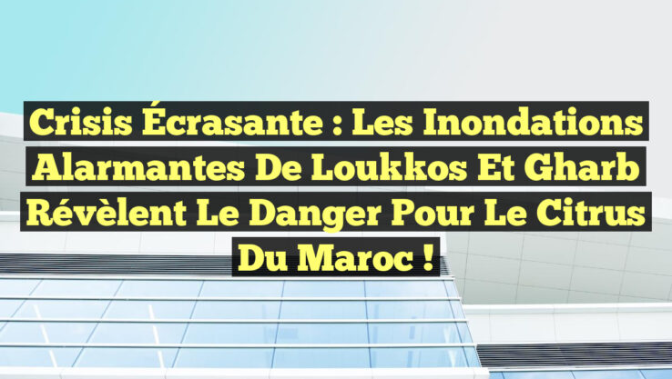 Crisis Écrasante : Les Inondations Alarmantes de Loukkos et Gharb Révèlent le Danger pour le Citrus du Maroc !
