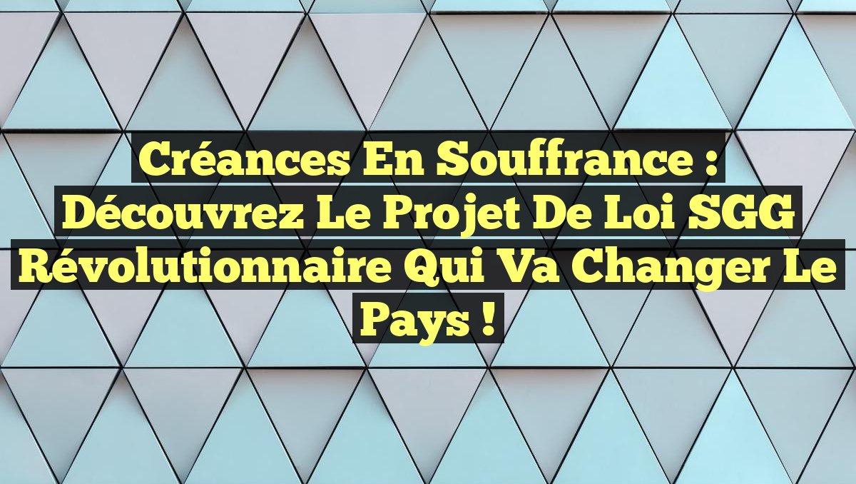 Créances en Souffrance : Découvrez le Projet de Loi SGG Révolutionnaire qui Va Changer le Pays !