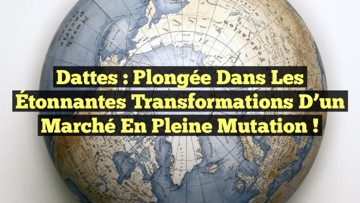 Dattes : Plongée dans les Étonnantes Transformations d’un Marché en Pleine Mutation !