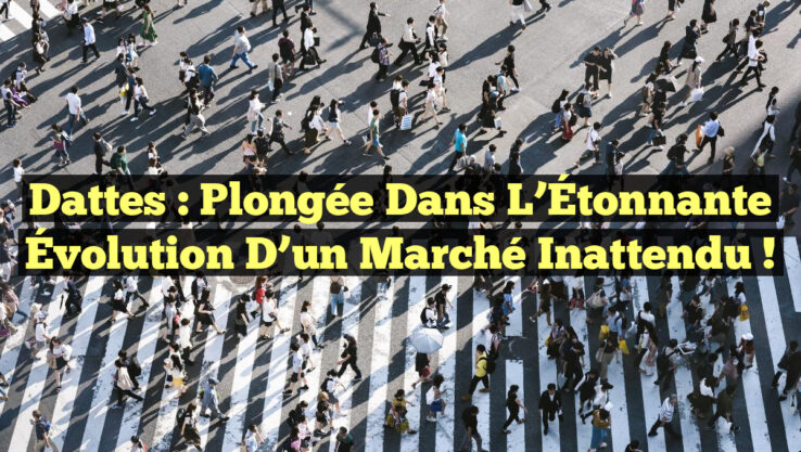 Dattes : Plongée dans l’Étonnante Évolution d’un Marché Inattendu !