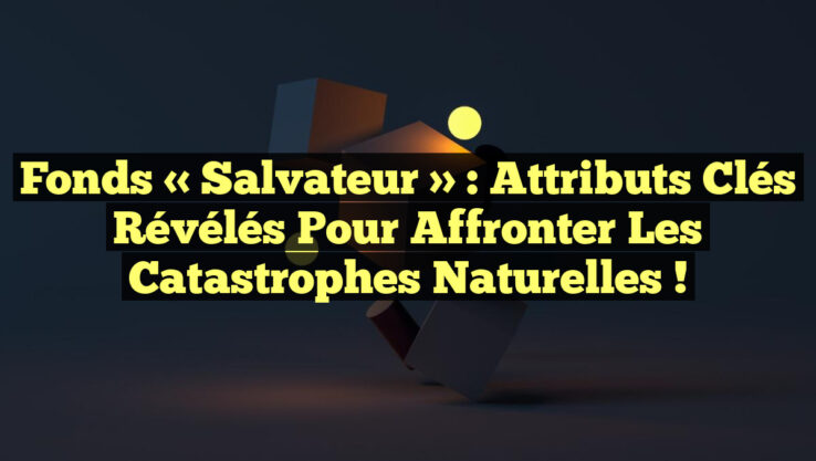 Fonds « Salvateur » : Attributs Clés Révélés pour Affronter les Catastrophes Naturelles !