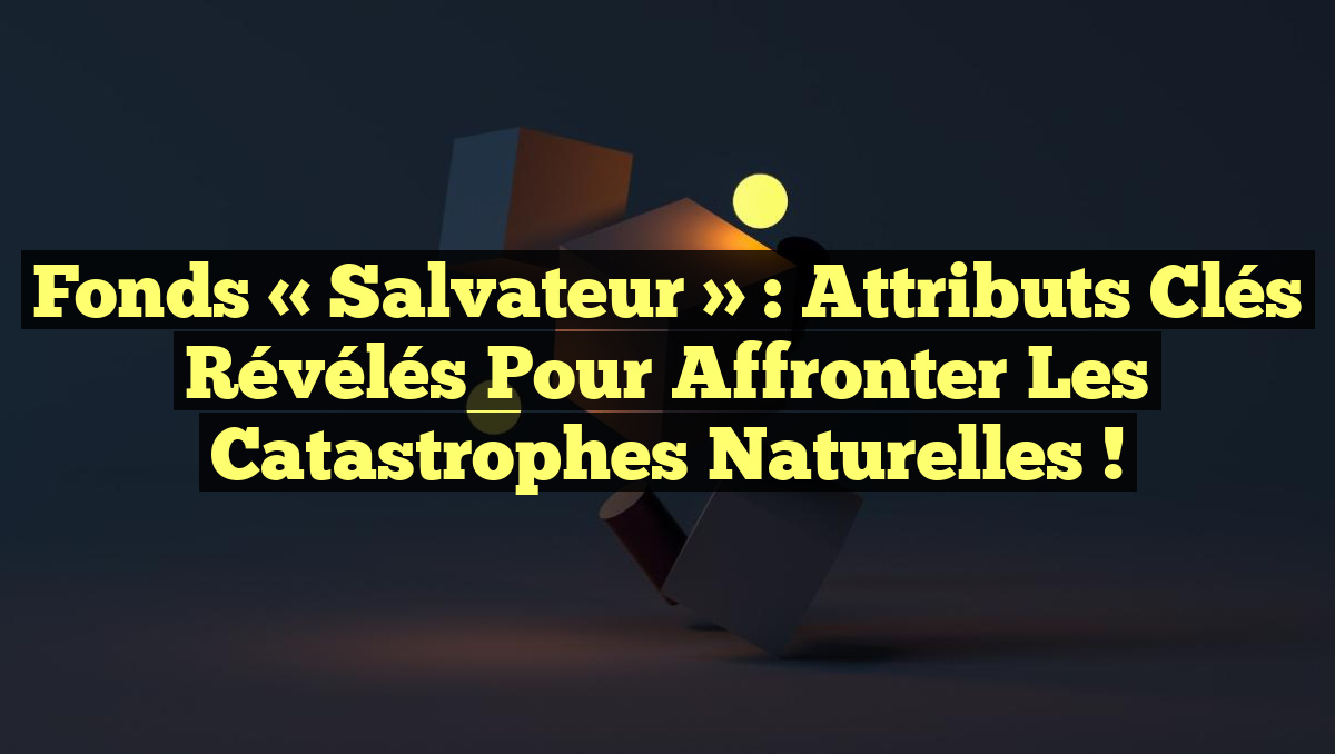 Fonds « Salvateur » : Attributs Clés Révélés pour Affronter les Catastrophes Naturelles !