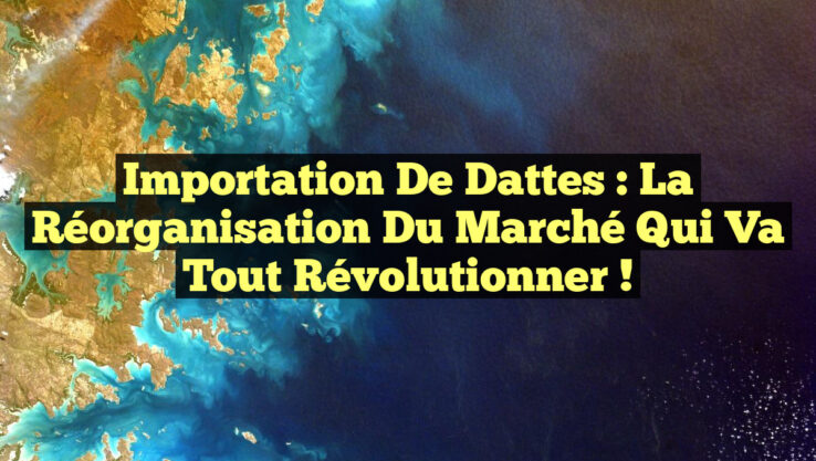 Importation de Dattes : La Réorganisation du Marché Qui Va Tout Révolutionner !