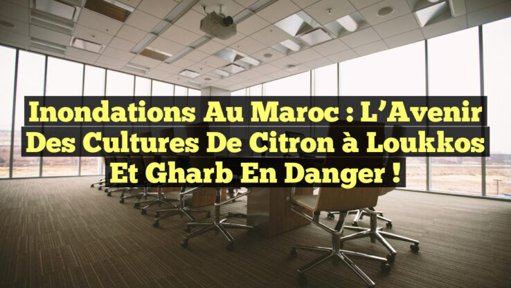 Inondations au Maroc : L’Avenir des Cultures de Citron à Loukkos et Gharb en Danger !