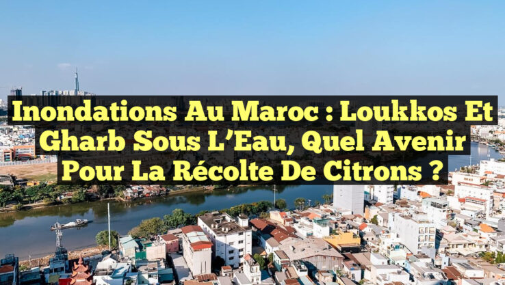 Inondations au Maroc : Loukkos et Gharb Sous L’Eau, Quel Avenir pour la Récolte de Citrons ?