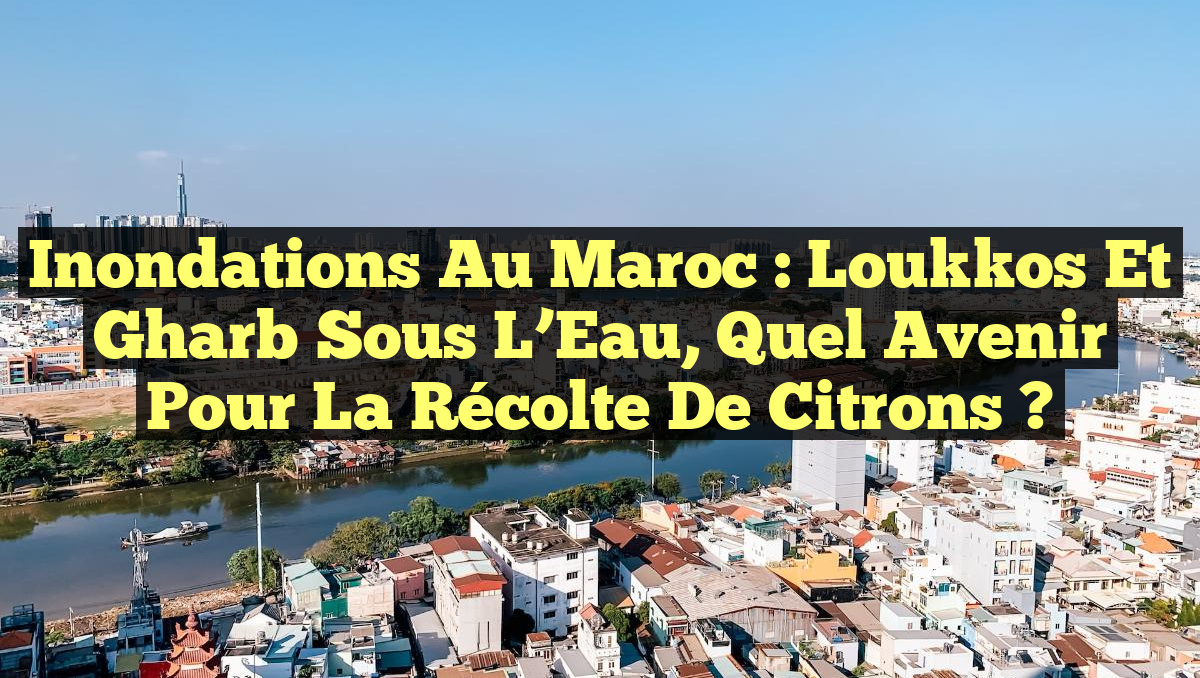 Inondations au Maroc : Loukkos et Gharb Sous L&rsquo;Eau, Quel Avenir pour la Récolte de Citrons ?