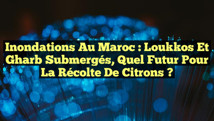Inondations au Maroc : Loukkos et Gharb Submergés, Quel Futur pour la Récolte de Citrons ?