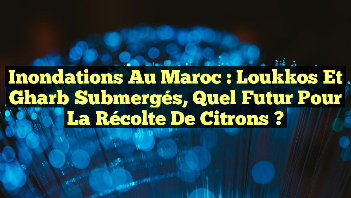 Inondations au Maroc : Loukkos et Gharb Submergés, Quel Futur pour la Récolte de Citrons ?