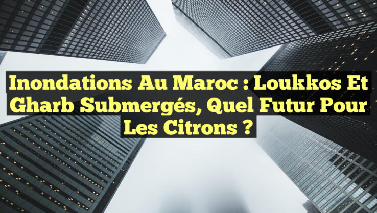 Inondations au Maroc : Loukkos et Gharb Submergés, Quel Futur pour les Citrons ?
