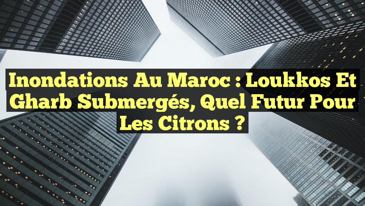 Inondations au Maroc : Loukkos et Gharb Submergés, Quel Futur pour les Citrons ?