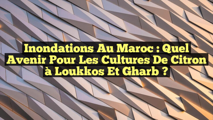 Inondations au Maroc : Quel Avenir pour les Cultures de Citron à Loukkos et Gharb ?