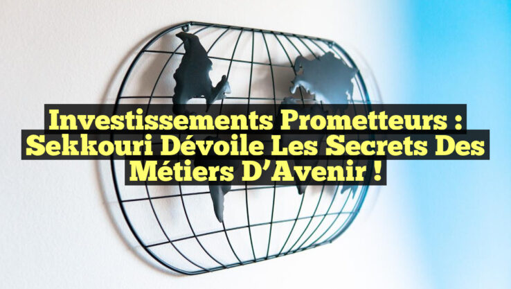 Investissements Prometteurs : Sekkouri Dévoile les Secrets des Métiers d’Avenir !