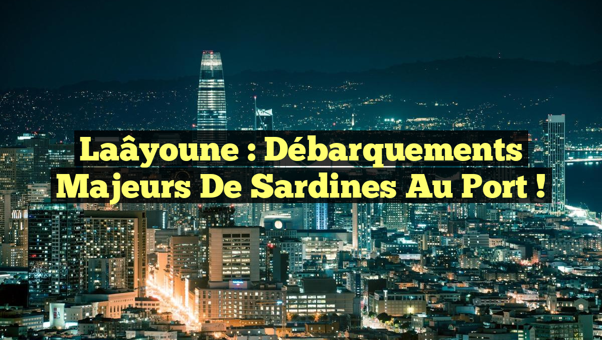 Laâyoune : Débarquements Majeurs de Sardines au Port !