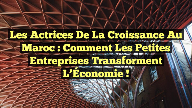 Les Actrices de la Croissance au Maroc : Comment les Petites Entreprises Transforment l’Économie !