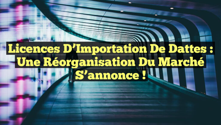 Licences d’Importation de Dattes : Une Réorganisation du Marché S’annonce !