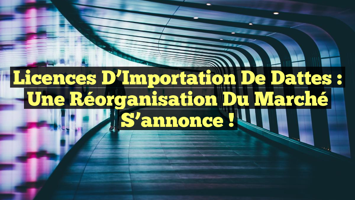 Licences d’Importation de Dattes : Une Réorganisation du Marché S&rsquo;annonce !