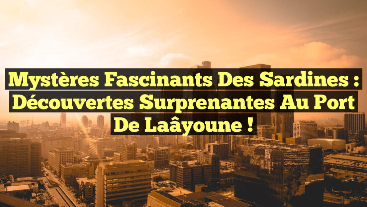 Mystères Fascinants des Sardines : Découvertes Surprenantes au Port de Laâyoune !