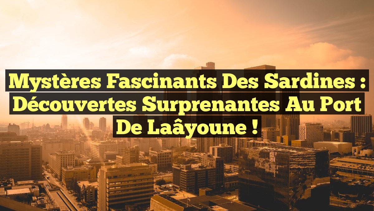 Mystères Fascinants des Sardines : Découvertes Surprenantes au Port de Laâyoune !